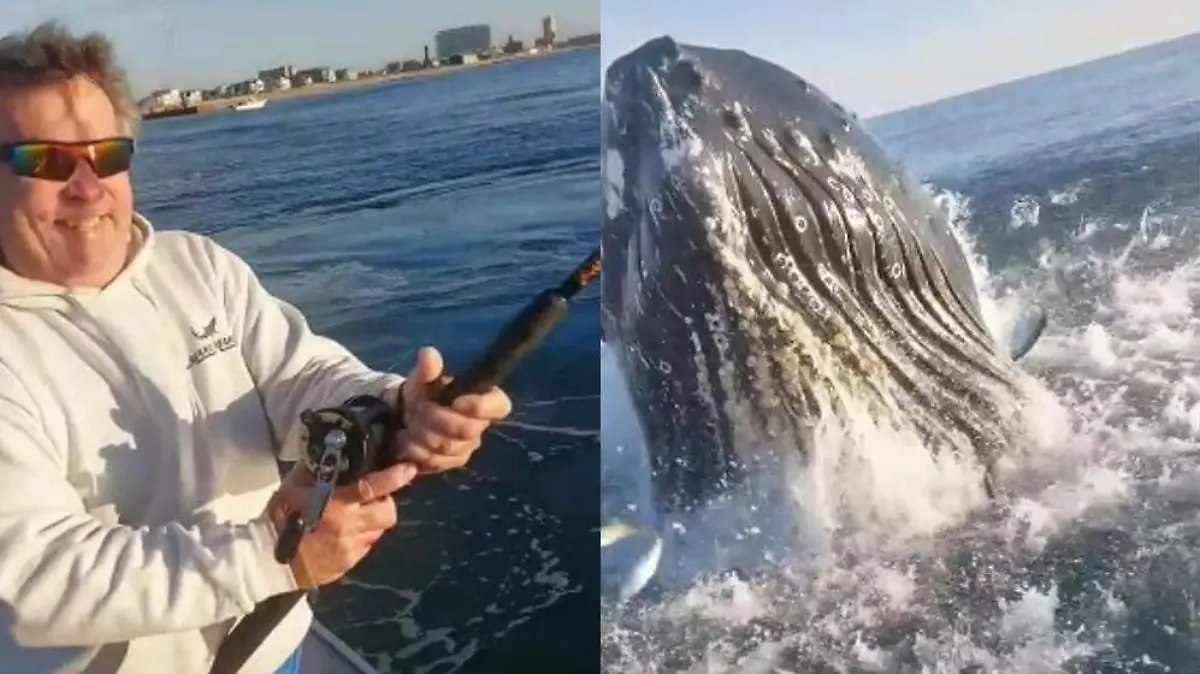 ballena es captada cerca de un bote